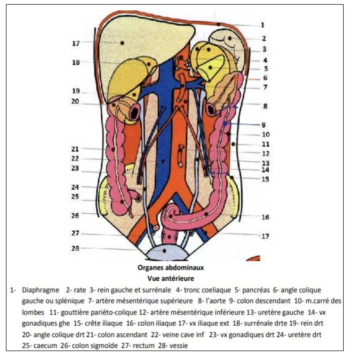 Description of image